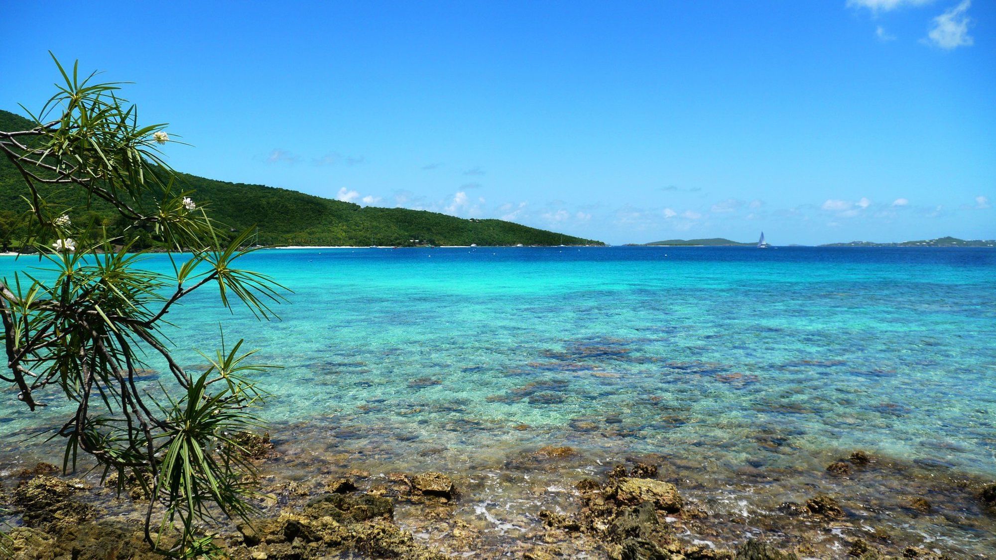 Caneel Bay Resort Cruz Bay Facilities photo