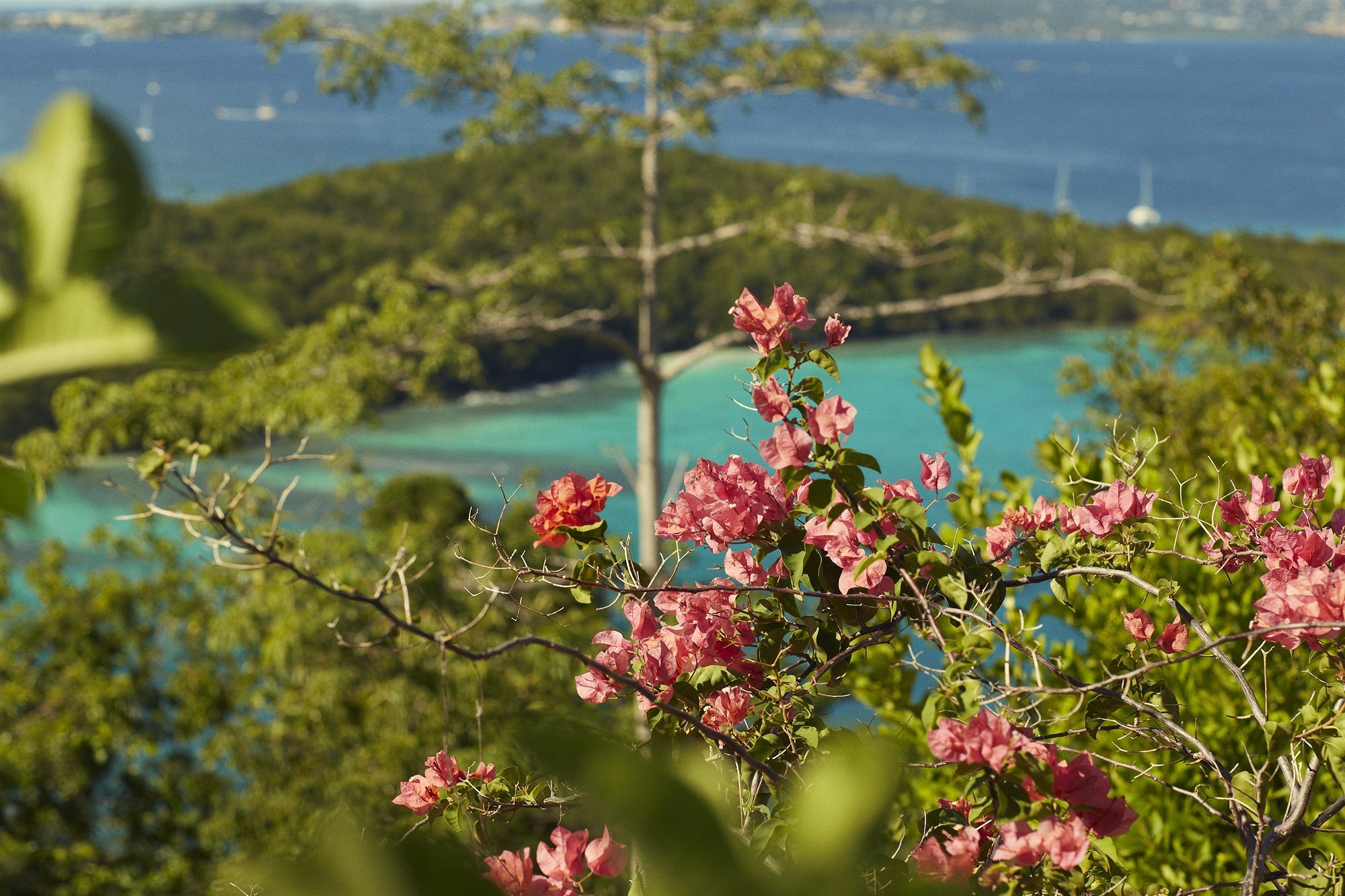 Caneel Bay Resort Cruz Bay Exterior photo