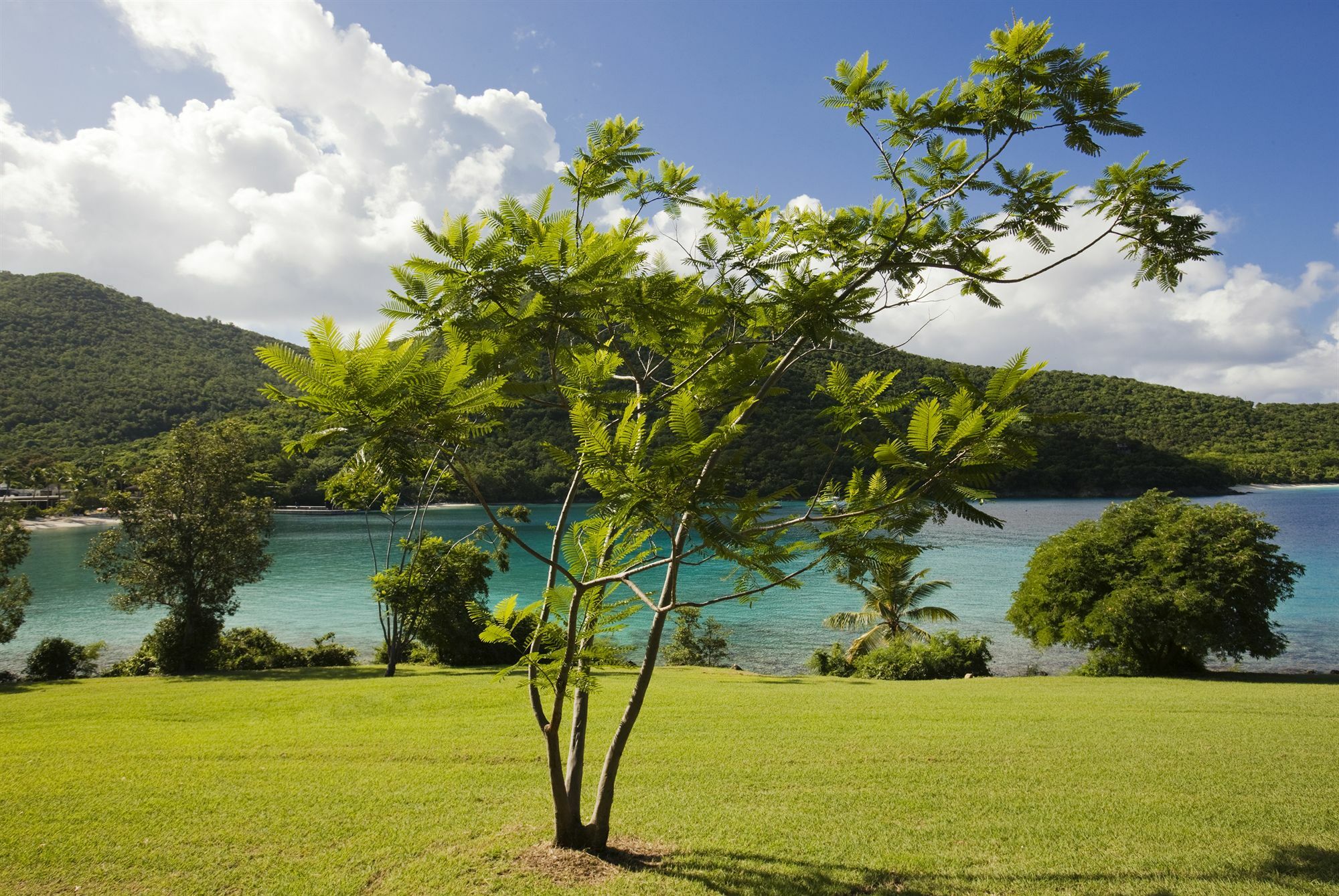 Caneel Bay Resort Cruz Bay Exterior photo